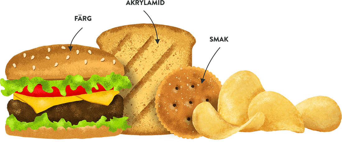 what is Acrylamide
