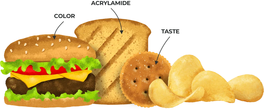 what is Acrylamide